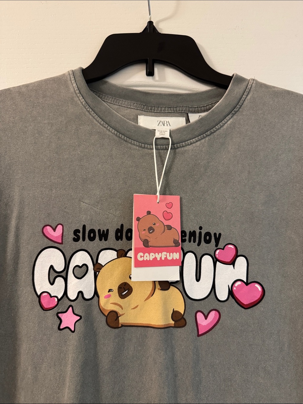 Zara kids Oversized Tee Capybara Graphic
